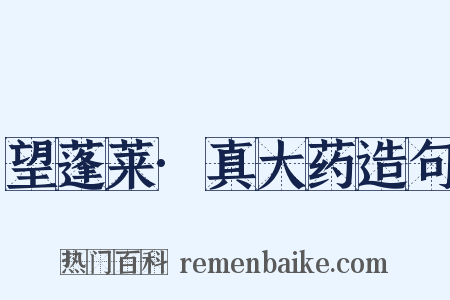 望蓬莱·真大药造句是什么意思的图片